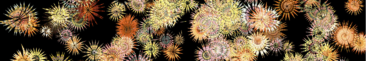 1200x200 3 flowers 1200x200 3 flowers