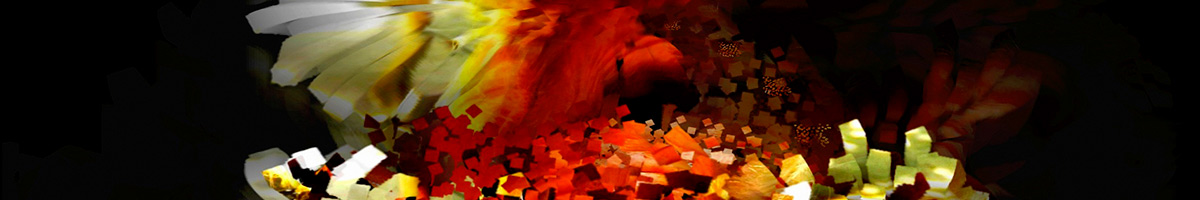 pixibanner pixibanner